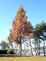 DSC00120.jpg