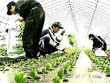 06040006m.JPG