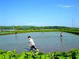 DSC00165m.JPG