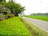 DSC00223m.JPG