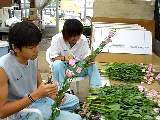 DSC00141s.JPG